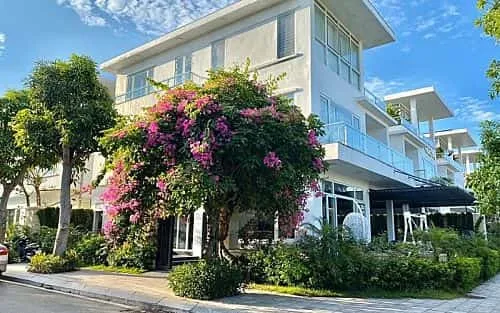 Villa Ngọc Trai NT14